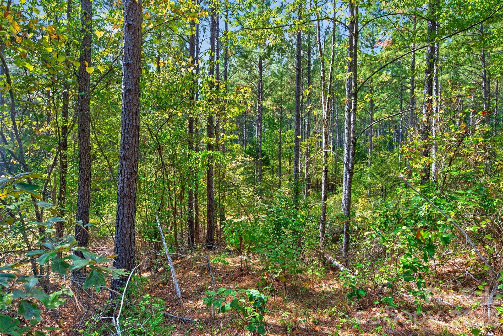 0000 Garvin Road, #1, York, SC 29726 0000 Garvin Road, #1, York, SC 29726