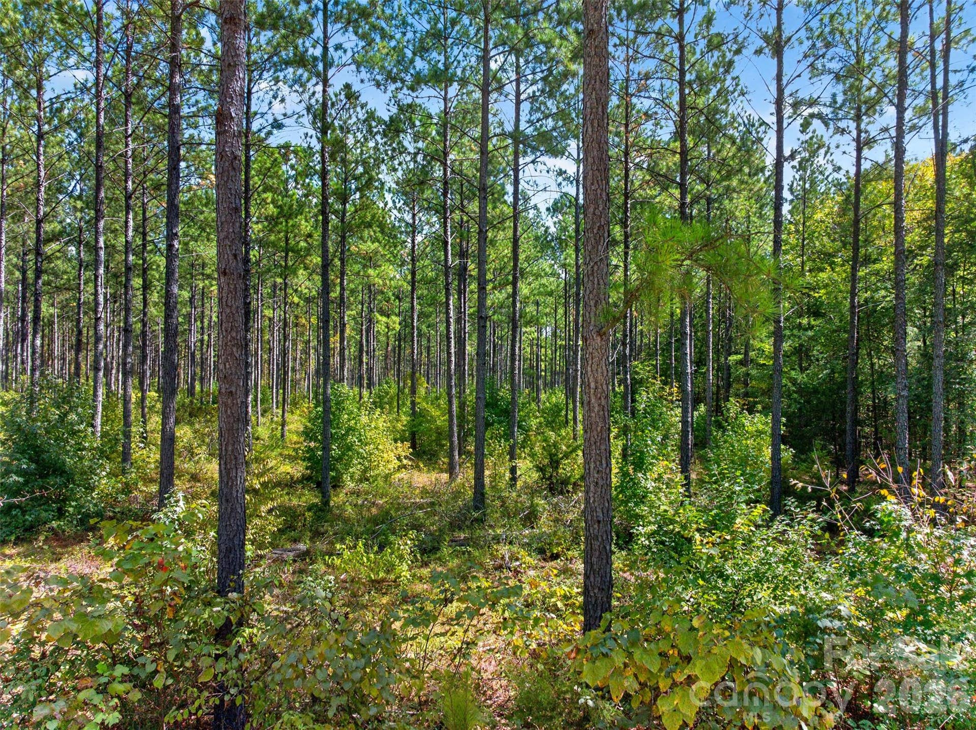 0000 Garvin Road, #1, York, SC 29726 0000 Garvin Road, #1, York, SC 29726