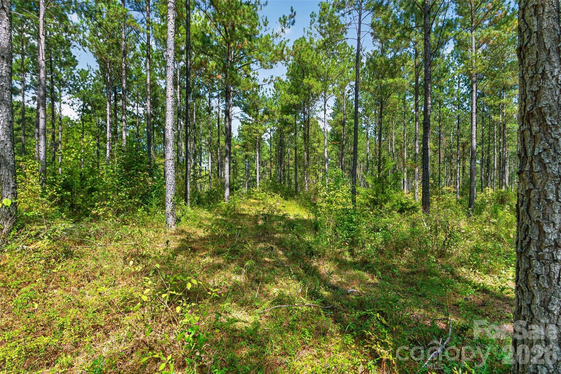 0000 Garvin Road, #1, York, SC 29726 0000 Garvin Road, #1, York, SC 29726