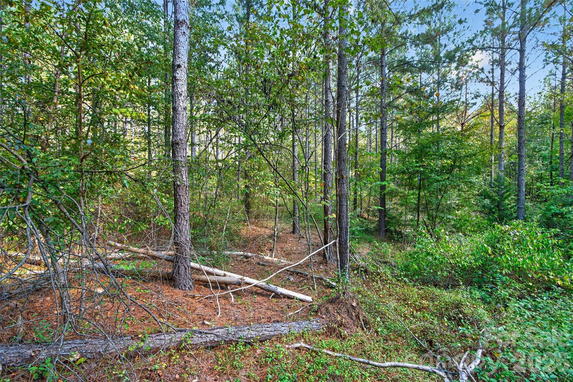 0000 Garvin Road, #1, York, SC 29726 0000 Garvin Road, #1, York, SC 29726