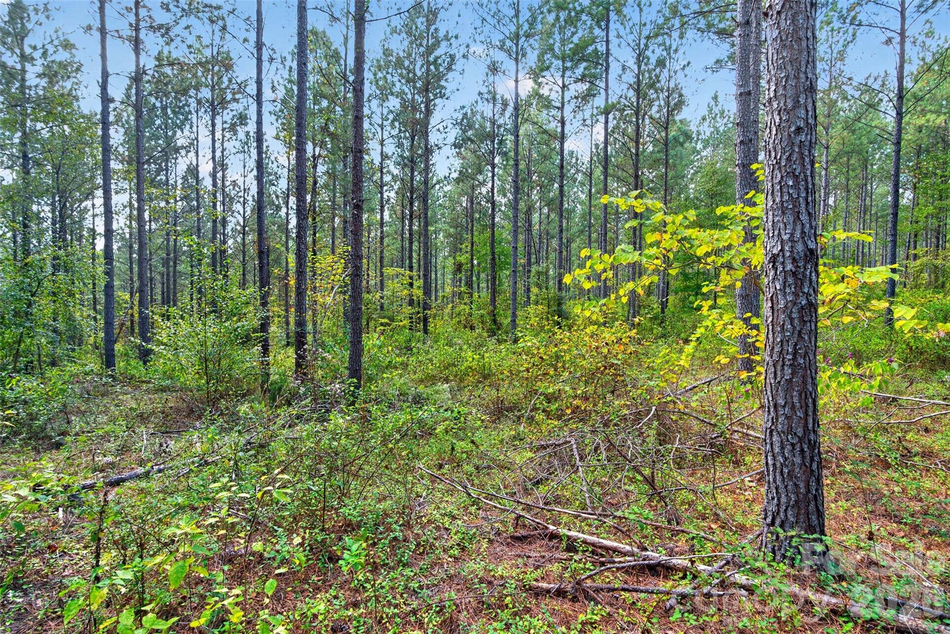 0000 Garvin Road, #1, York, SC 29726 0000 Garvin Road, #1, York, SC 29726