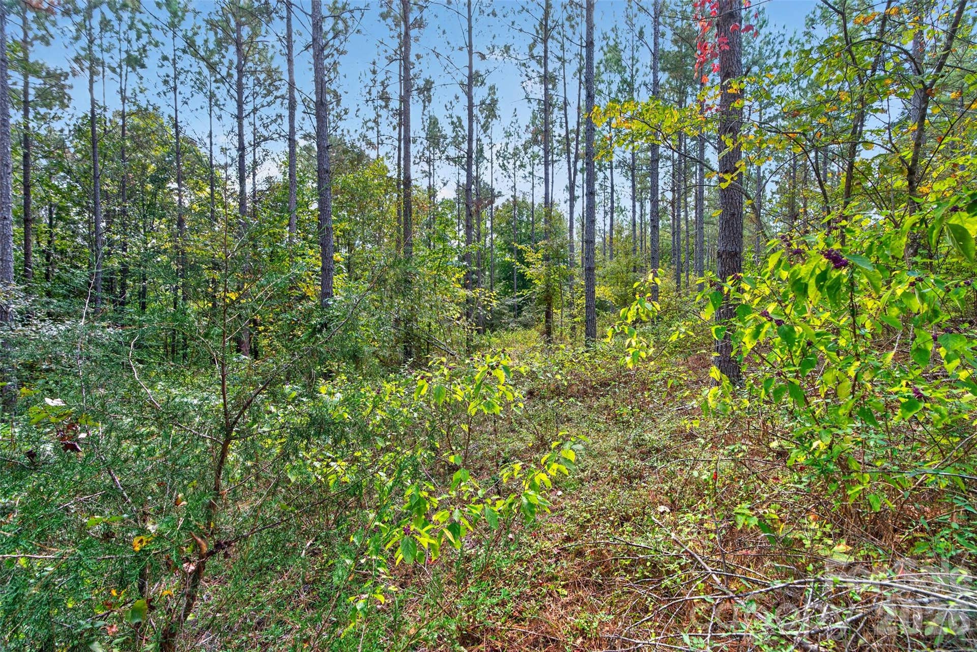 0000 Garvin Road, #1, York, SC 29726 0000 Garvin Road, #1, York, SC 29726