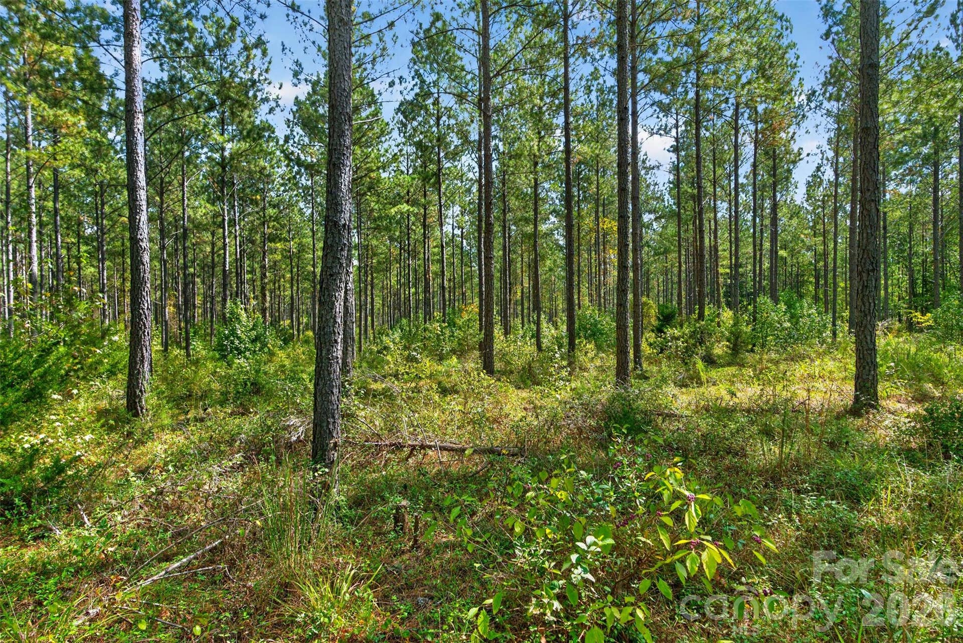 0000 Garvin Road, #1, York, SC 29726 0000 Garvin Road, #1, York, SC 29726
