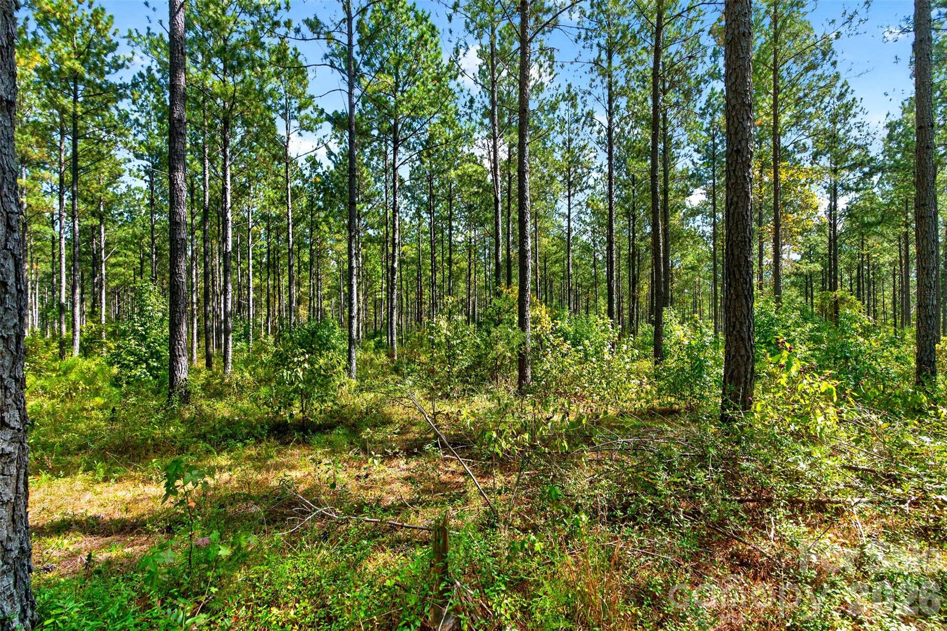0000 Garvin Road, #1, York, SC 29726 0000 Garvin Road, #1, York, SC 29726