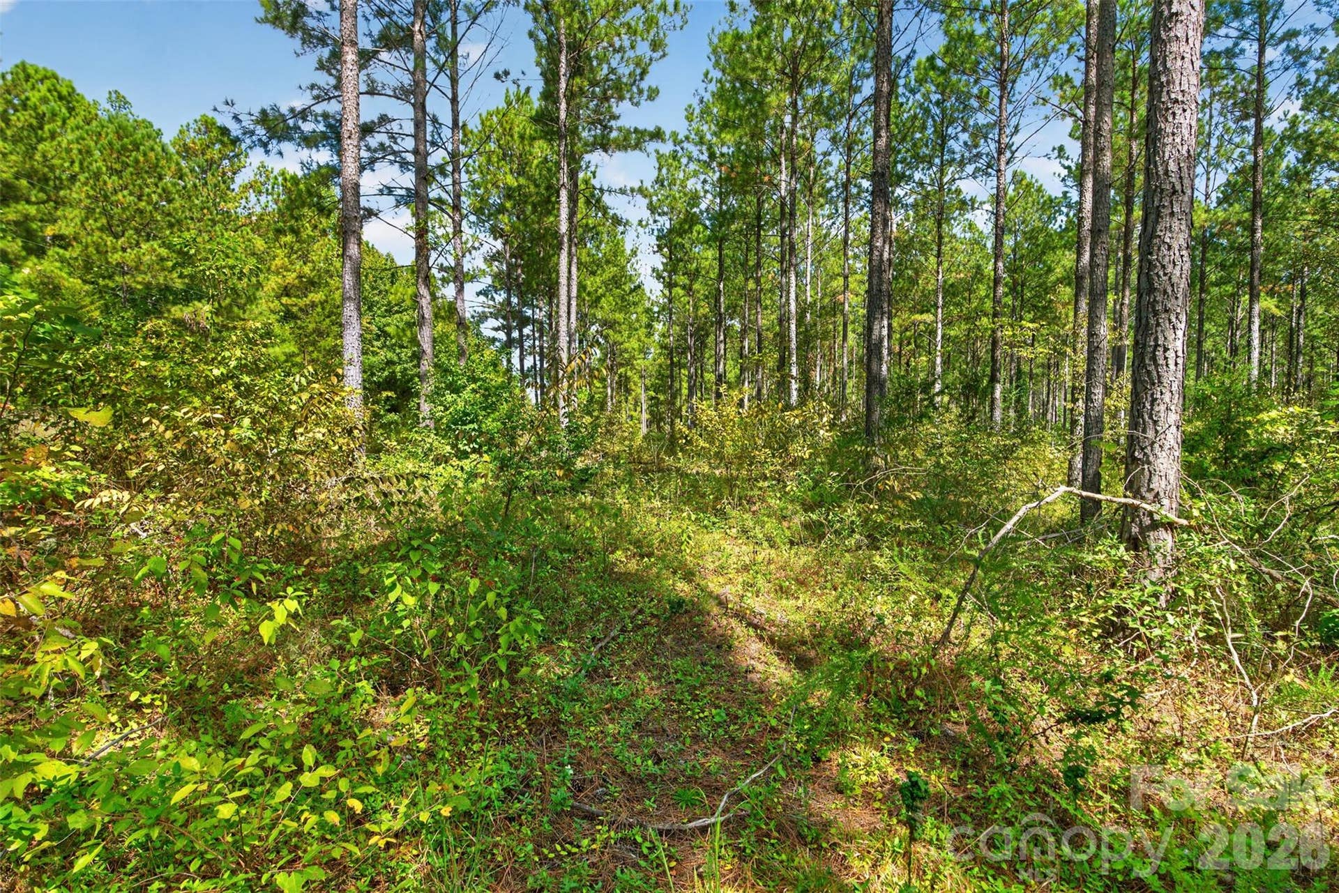 0000 Garvin Road, #1, York, SC 29726 0000 Garvin Road, #1, York, SC 29726