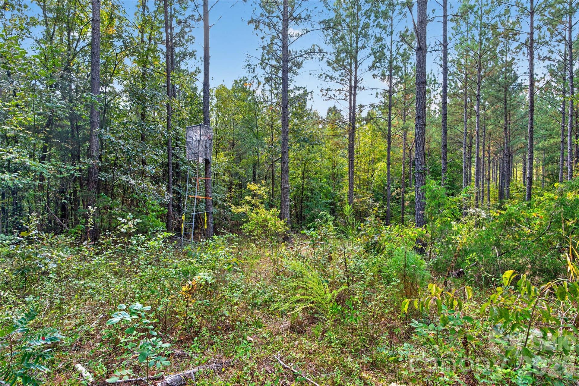0000 Garvin Road, #1, York, SC 29726 0000 Garvin Road, #1, York, SC 29726