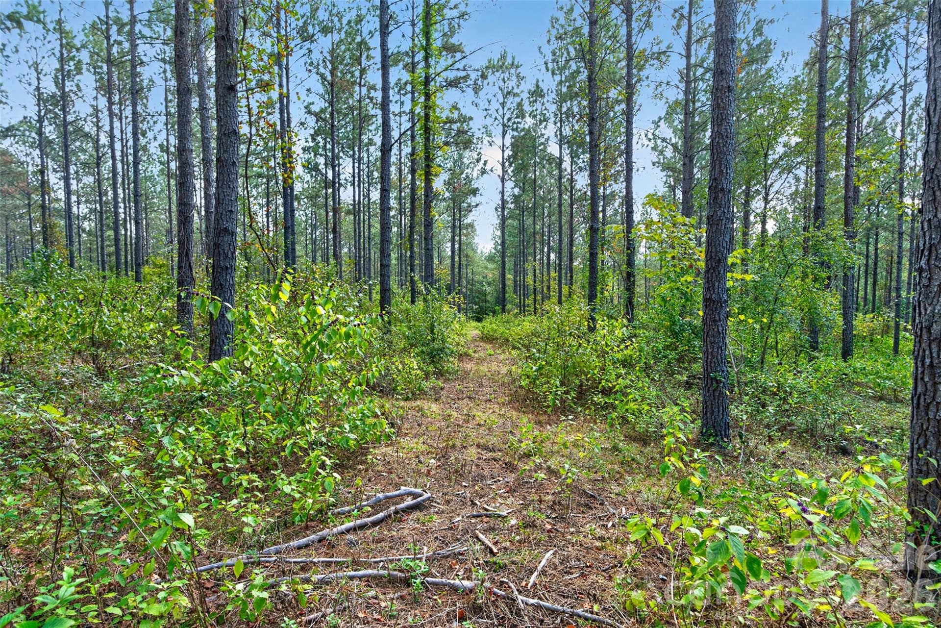 0000 Garvin Road, #1, York, SC 29726 0000 Garvin Road, #1, York, SC 29726