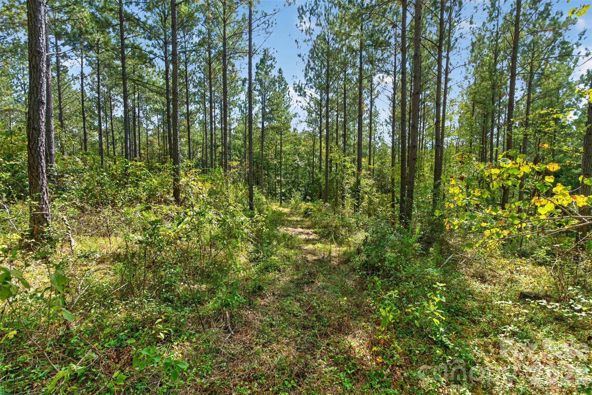 0000 Garvin Road, #1, York, SC 29726 0000 Garvin Road, #1, York, SC 29726