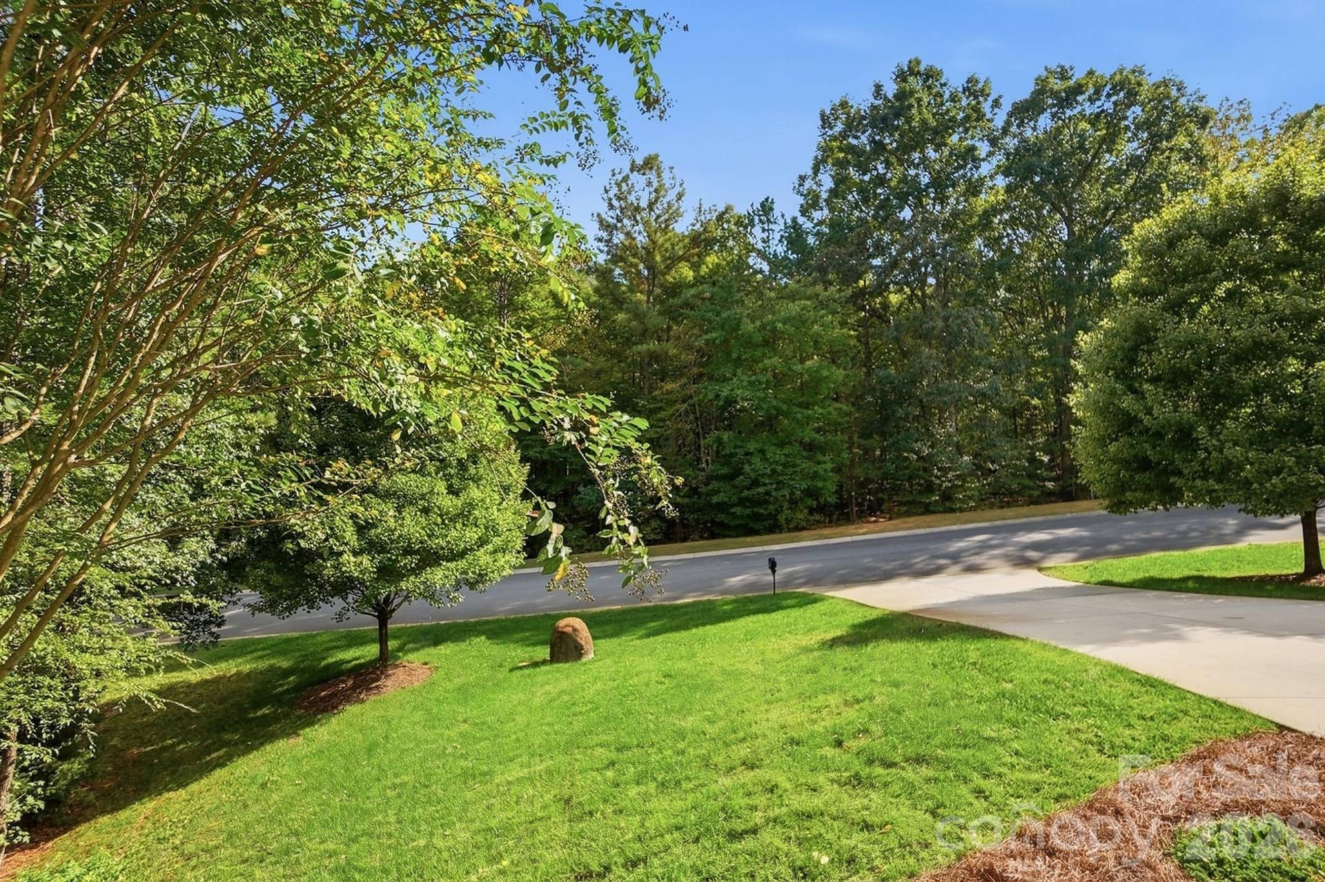 View of Mineral Springs Greenway from front porch
