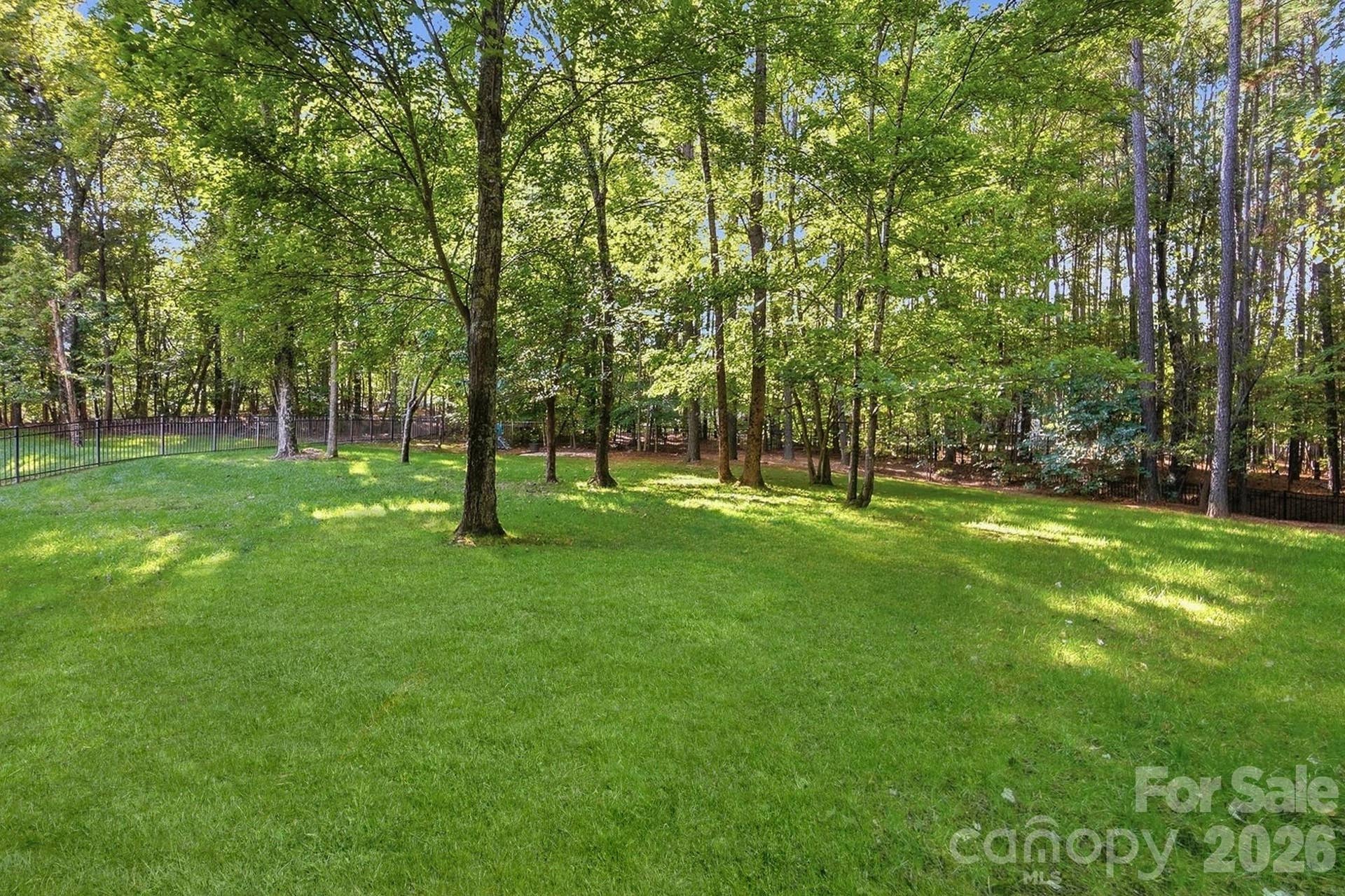 Flat backyard