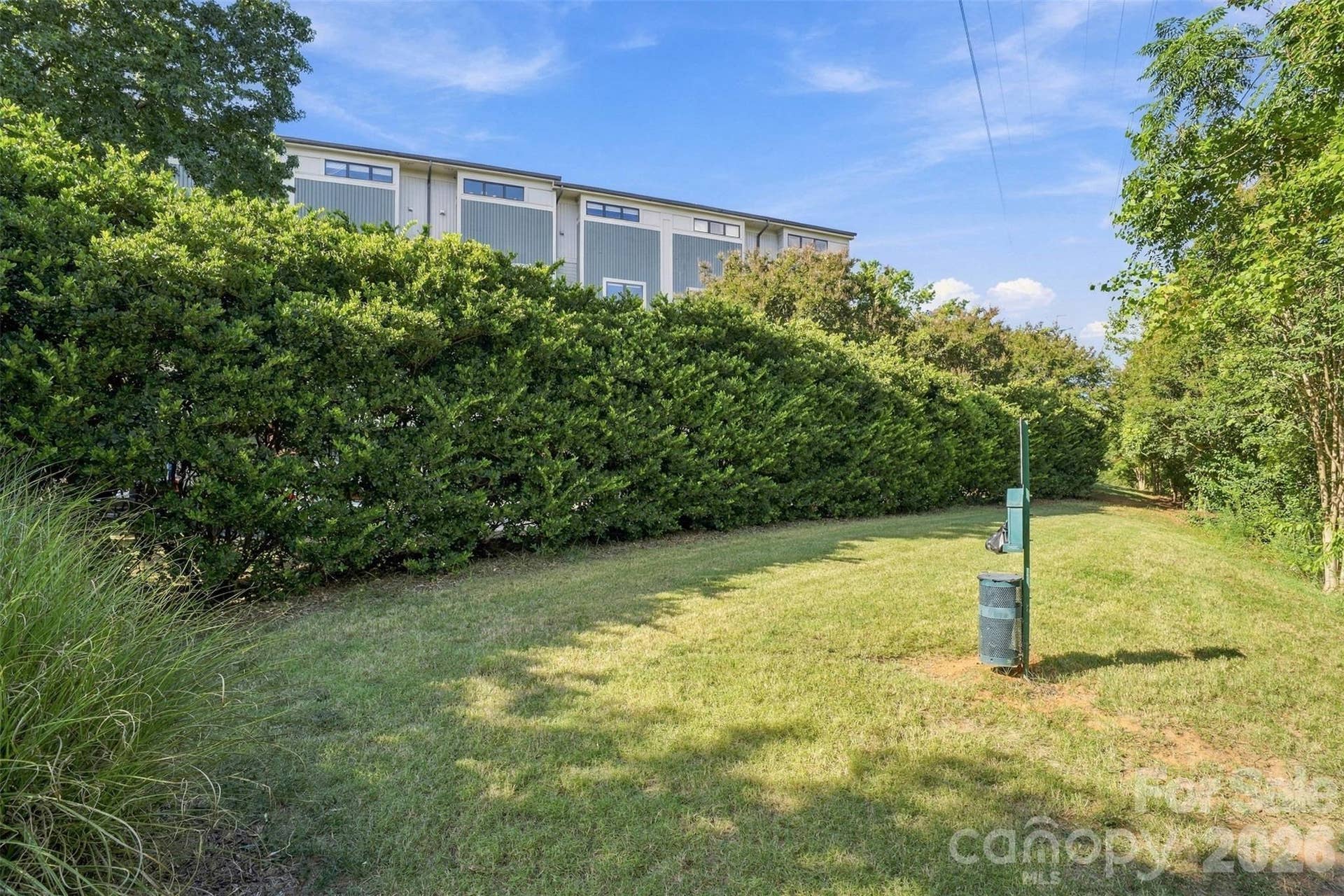 534 McDowell Street, Charlotte, NC 28204 green space for pets