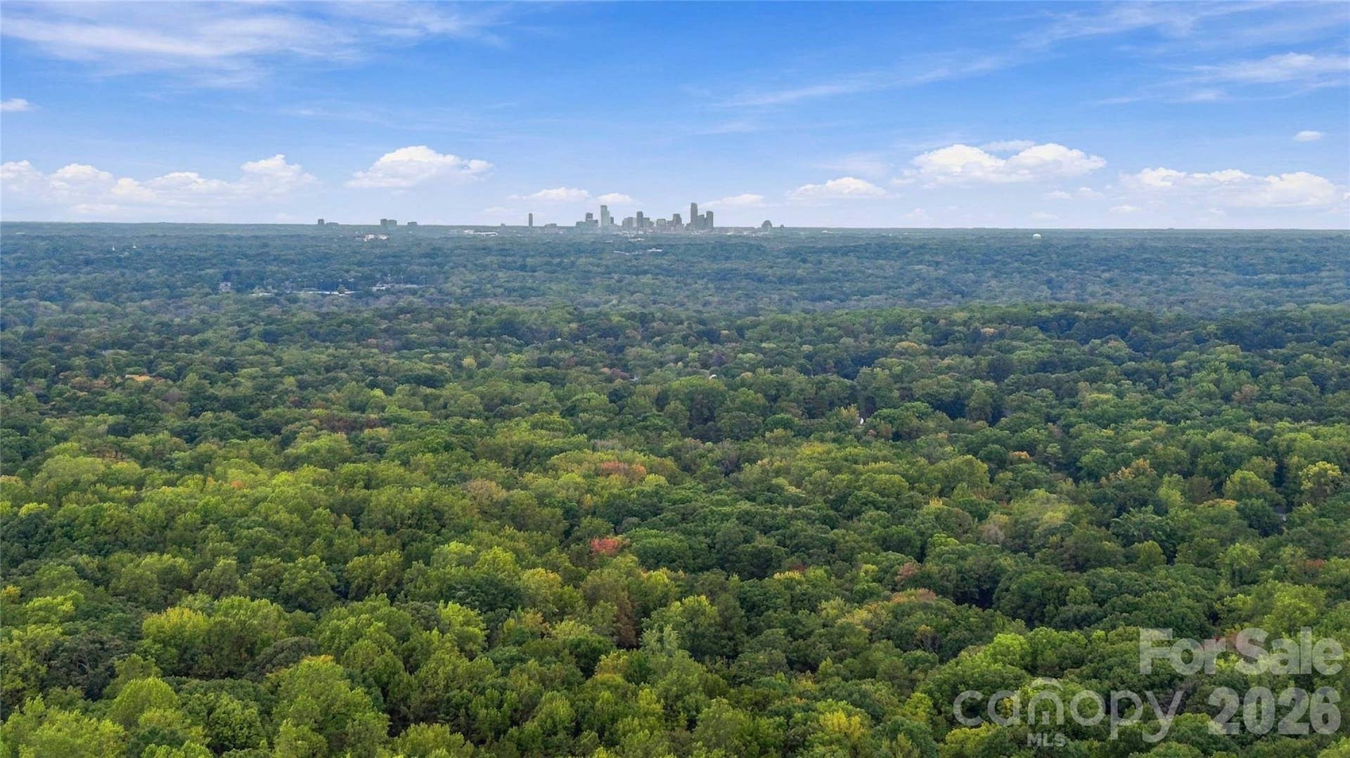9414 Tillot Drive, Matthews, NC 28105 View of Uptown Charlotte