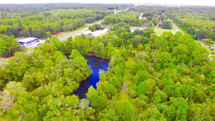 Property photo for 4125 S Grandmarch Avenue, Homosassa, FL