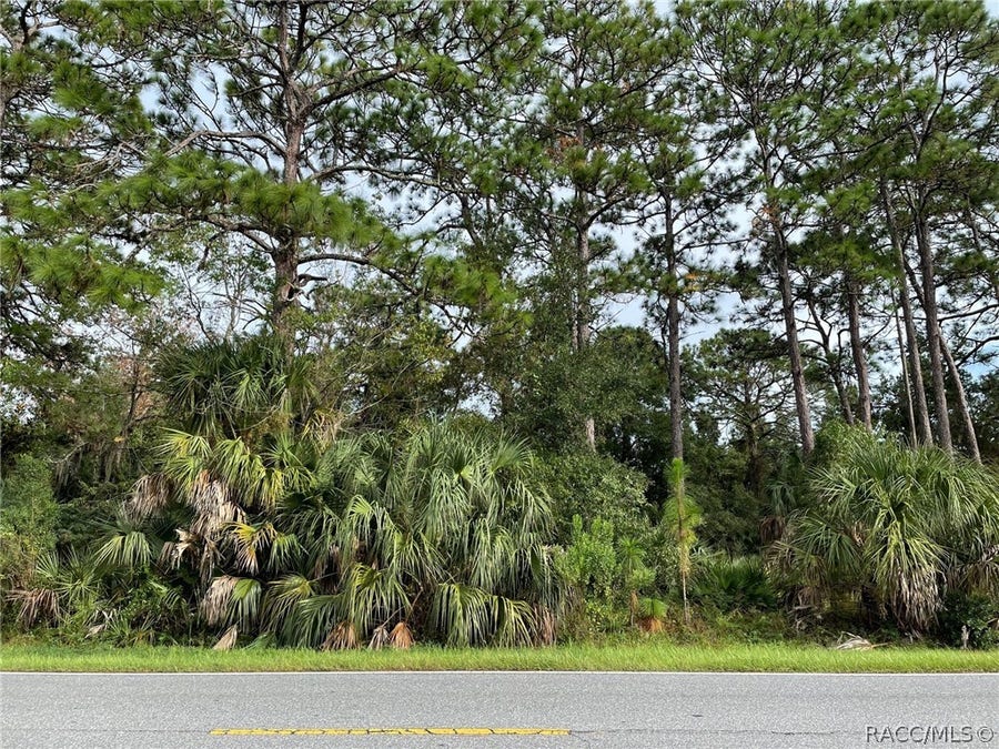 Property photo for 7860 W Homosassa Trail, Homosassa, FL