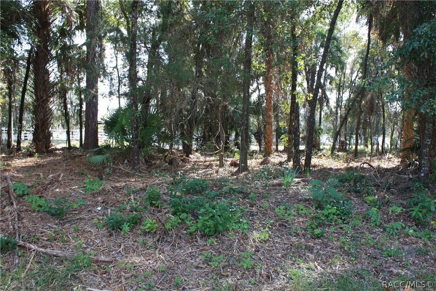 Property photo for 9249 W Ozello Trail, Crystal River, FL