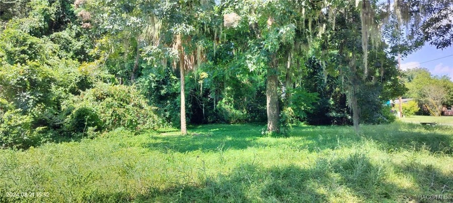 Property photo for 1980 S Tsala Terrace, Inverness, FL