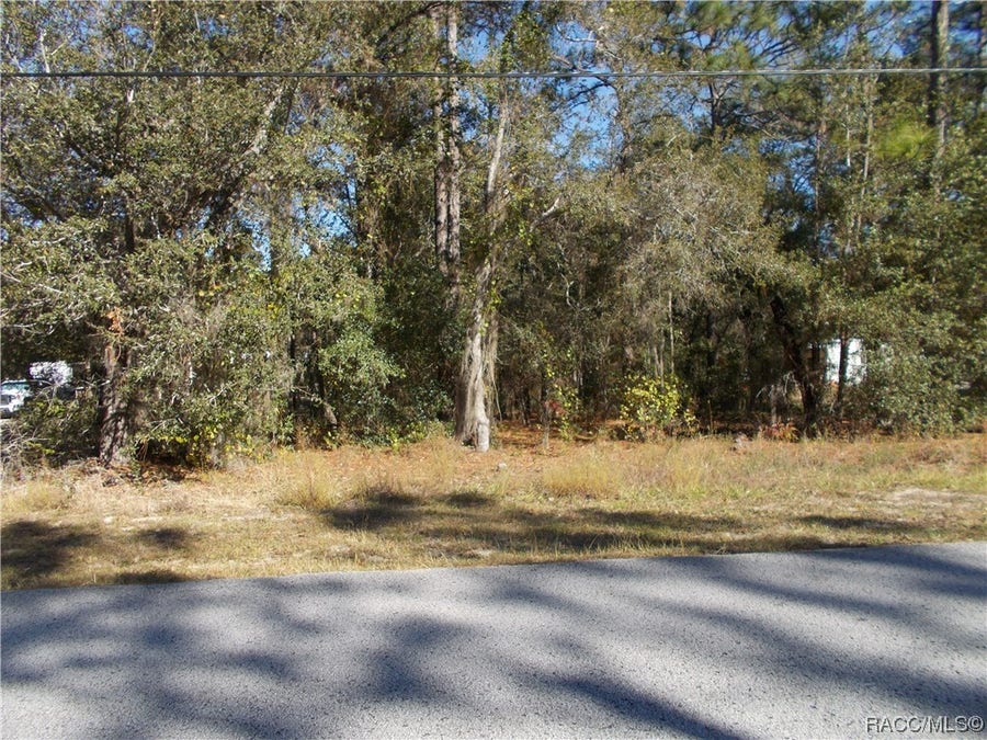 Property photo for 1401 E BISMARK Street, Hernando, FL