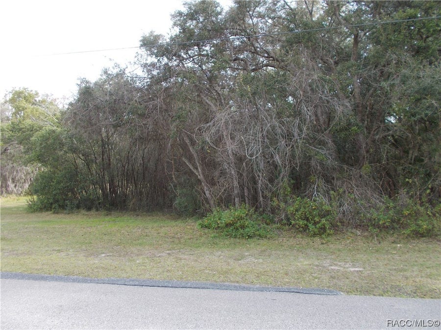 Property photo for 241 N HIGHVIEW Avenue, Hernando, FL