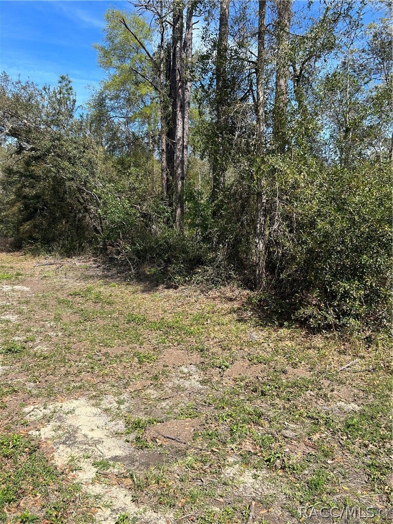 Property photo for 2101 W Most Lane, Citrus Springs, FL