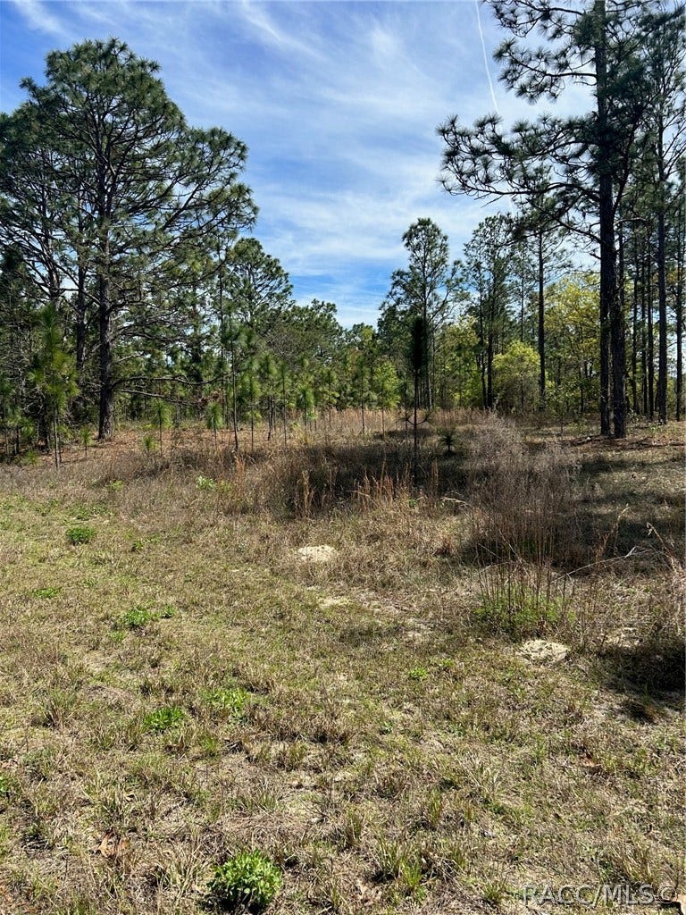 Property photo for 2032 W Corrine Street, Dunnellon, FL