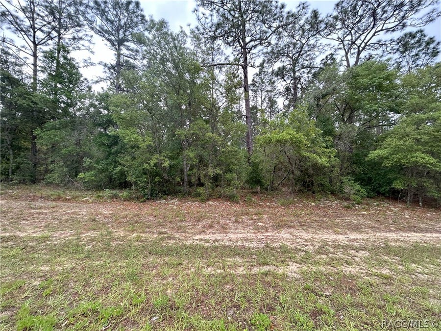 Property photo for 1594 W Donner Drive, Citrus Springs, FL