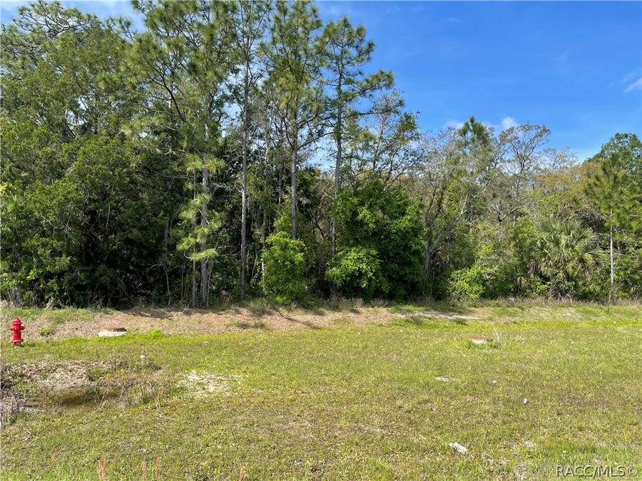 Property photo for 4584 S Suncoast Boulevard, Homosassa, FL