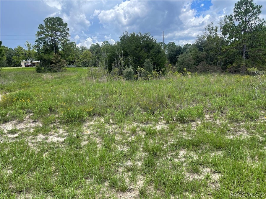 Property photo for 6028 W Alessi Place, Dunnellon, FL