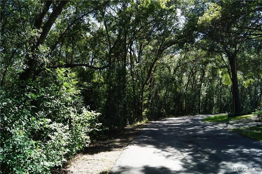 Property photo for 3505 N Woodgate Drive, Beverly Hills, FL