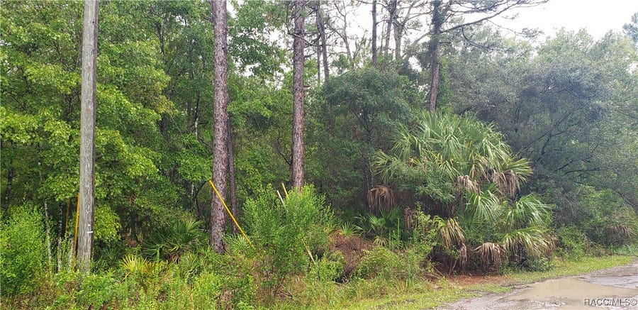 Property photo for 1179 N Tessa Terrace, Crystal River, FL