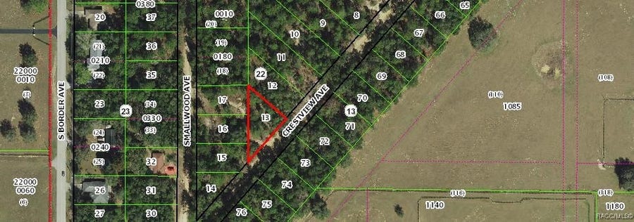 Property photo for 318 S CRESTVIEW Avenue, Inverness, FL