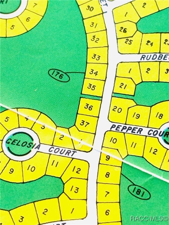 Property photo for 43 Lone Pine Street, Homosassa, FL