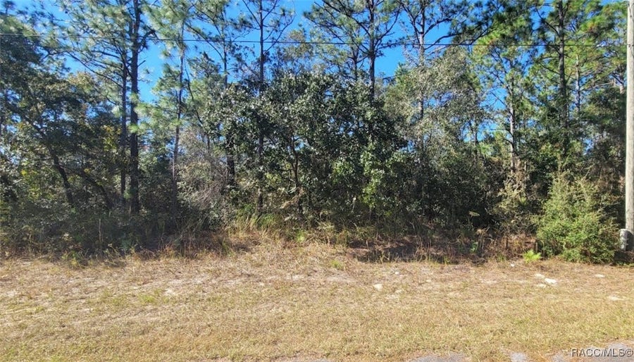 Property photo for 8622 N Empire Avenue, Citrus Springs, FL