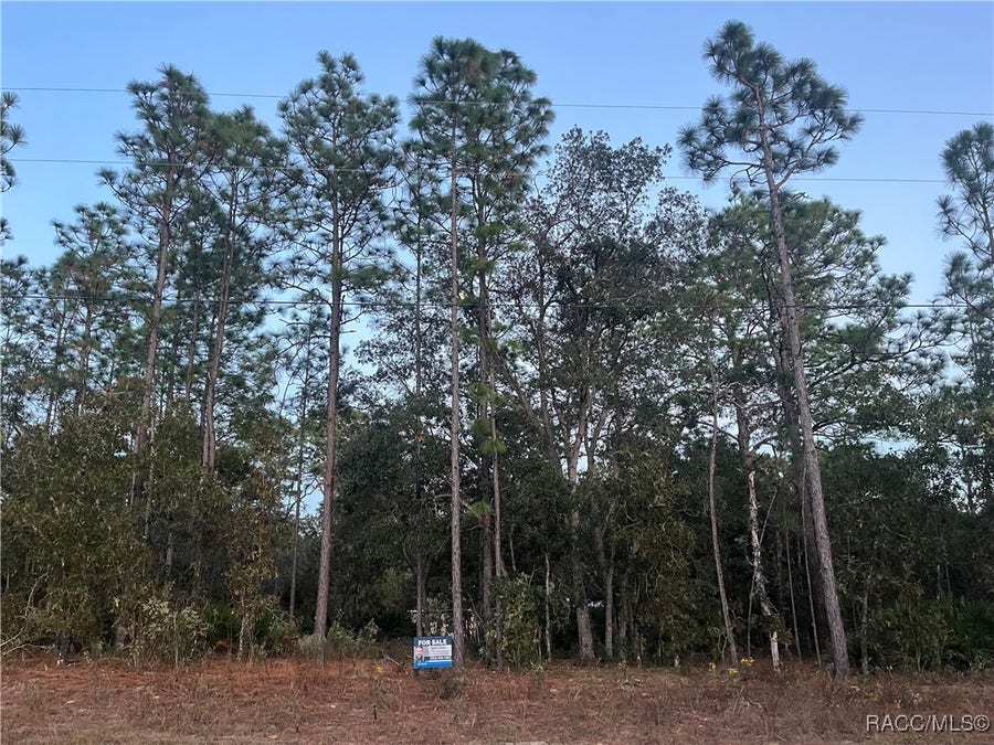 Property photo for 7771 N ring Drive, Citrus Springs, FL