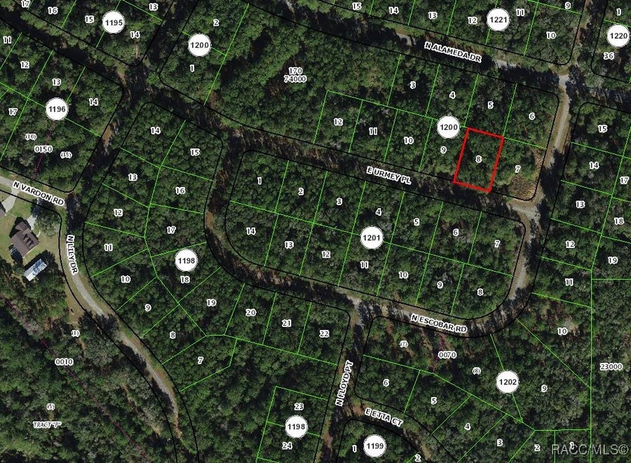 Property photo for 1389 E Urmey Place, Dunnellon, FL