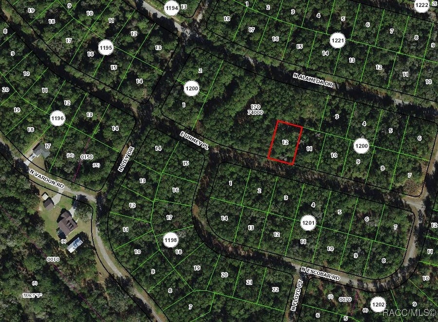 Property photo for 1311 E Urmey Place, Citrus Springs, FL