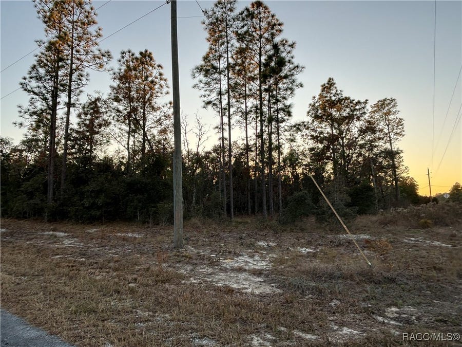 Property photo for TBD SW Sea Cliff Avenue, Dunnellon, FL