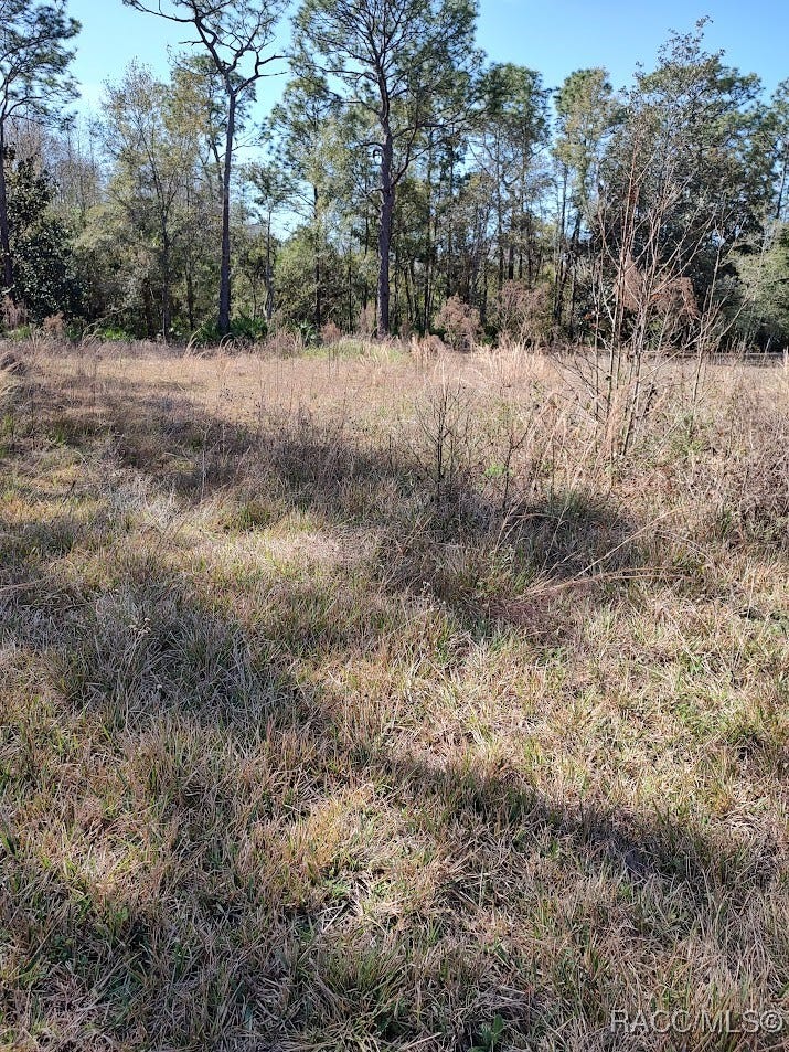 Property photo for 7636 Narcissus Lane, Homosassa, FL