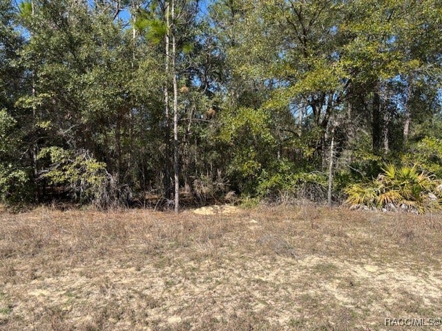 Property photo for 497 W Hummingbird Drive, Citrus Springs, FL