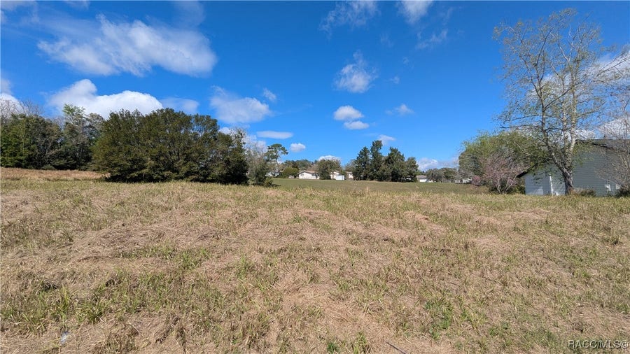 Property photo for 1221 W BUTTONBUSH Drive, Beverly Hills, FL