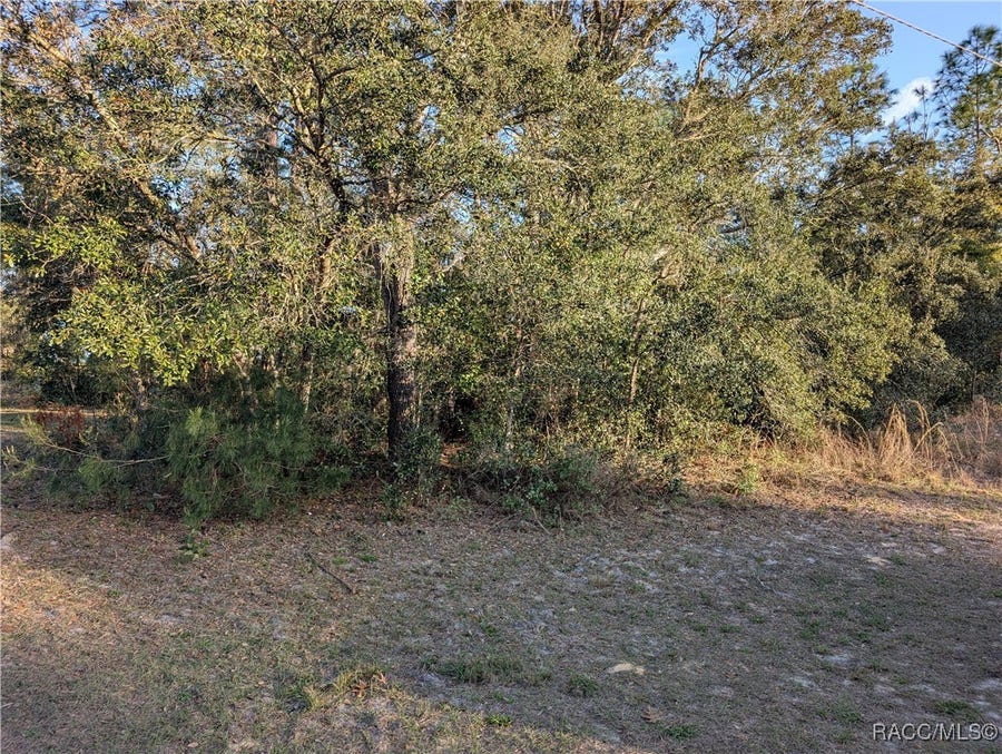 Property photo for 8949 N Lansen Way, Citrus Springs, FL