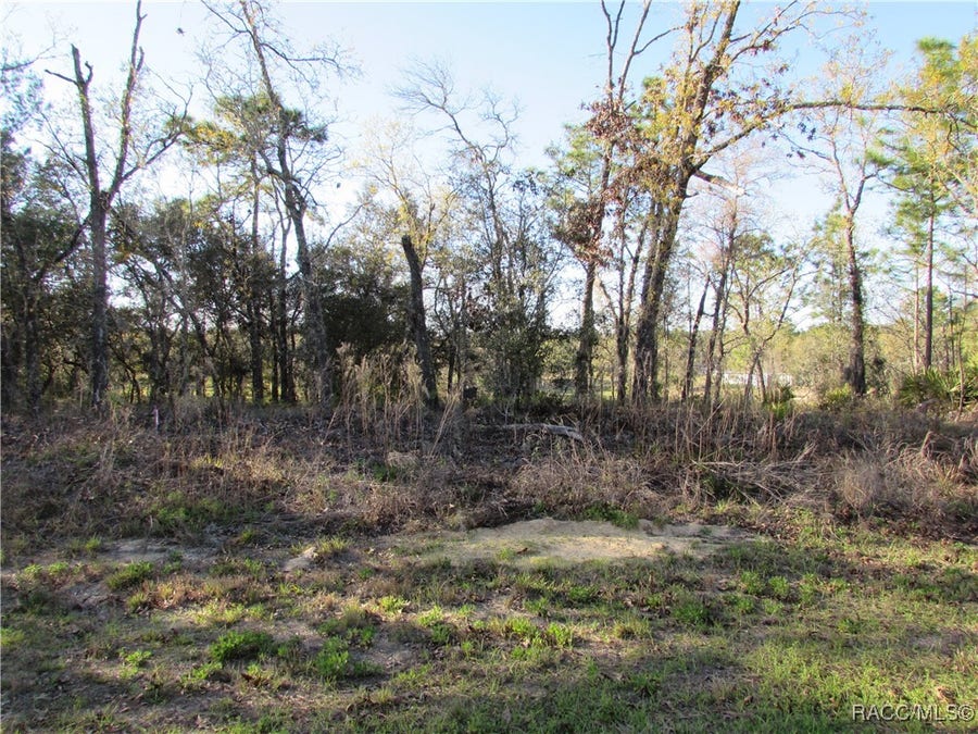 Property photo for 1255 W Nankeen Drive, Dunnellon, FL