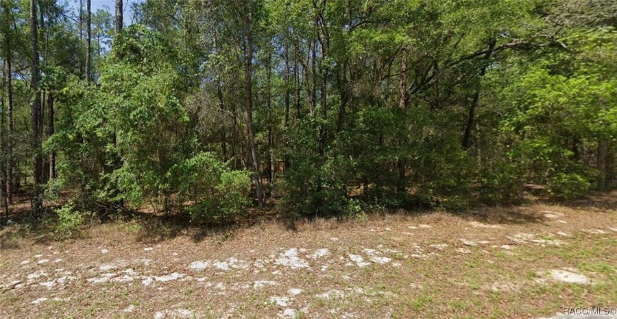 Property photo for 8566 N Spikes Way, Dunnellon, FL