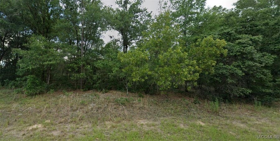 Property photo for 11230 N Terra Cotta Drive, Citrus Springs, FL
