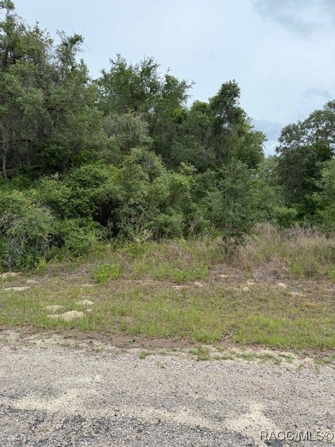 Property photo for 7911 N. Walton Terrace, Citrus Springs, FL