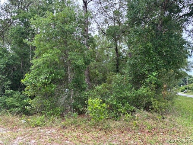 Property photo for 359 N Fitzpatrick Avenue, Inverness, FL