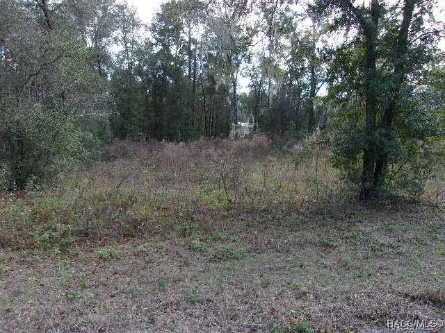 Property photo for 6700 E Haynes Lane, Inverness, FL