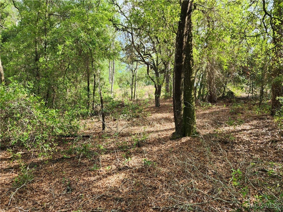 Property photo for 11107 N Mataro Avenue, Citrus Springs, FL