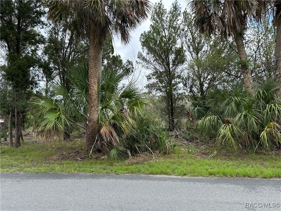 Property photo for 12345 W Standish Drive, Homosassa, FL