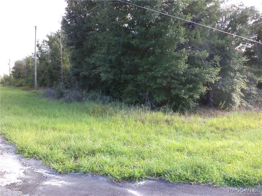 Property photo for 6424 N Matheson Drive, Citrus Springs, FL