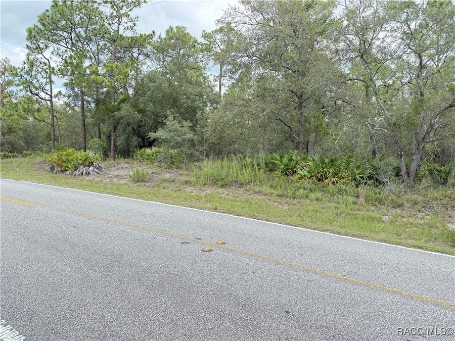 Property photo for 0 Fulton Avenue, Weeki Wachee, FL
